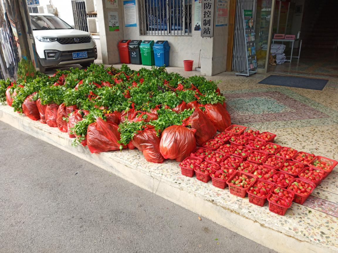 何石玲捐赠的蔬菜和草莓。