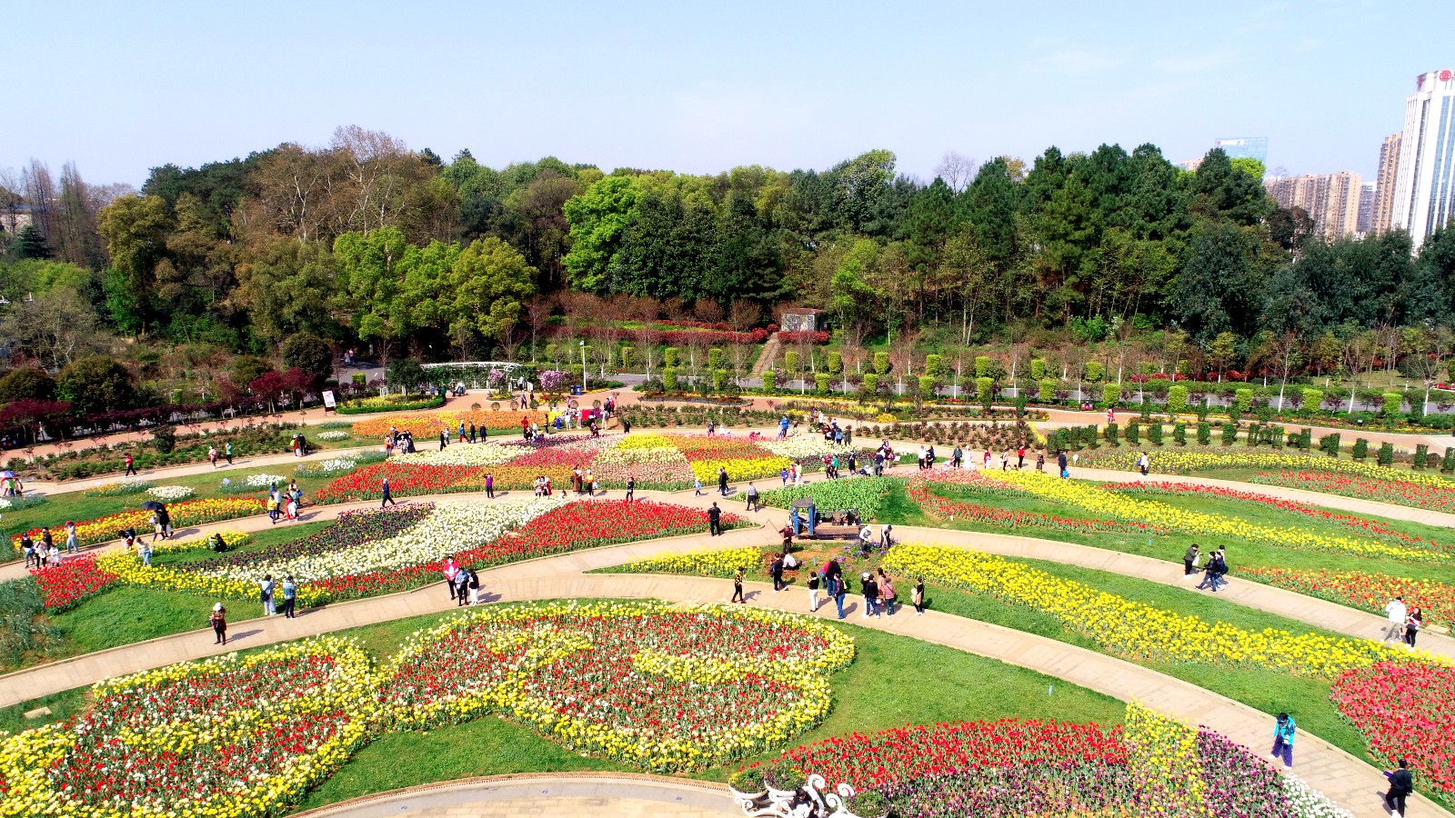 不能错过的秋季花展，2019上海植物园让你“心花怒放” - BANG!