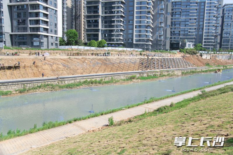 今日，龙王港枯水期河道应急补水工程项目全线通水。图片均由湘江集团提供