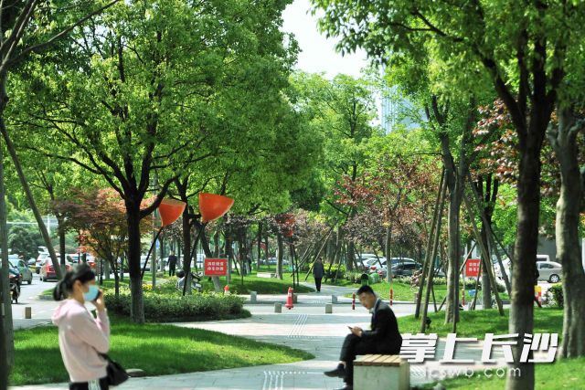 改造后，原本密闭的绿地空间被打开，道路视野更开阔，商业特色、人居空间和绿化融为一体。
