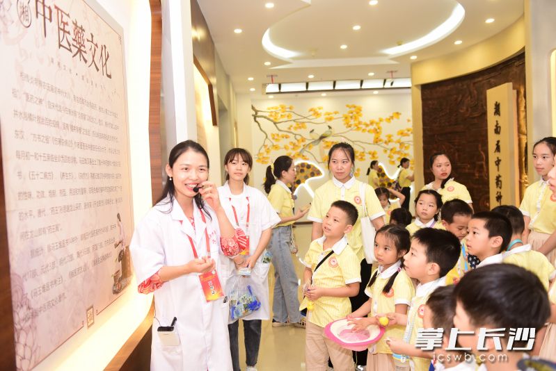 孩子们在标本馆了解各种动植物药物标本。实习生刘耕辰 全媒体记者 石祯专 摄