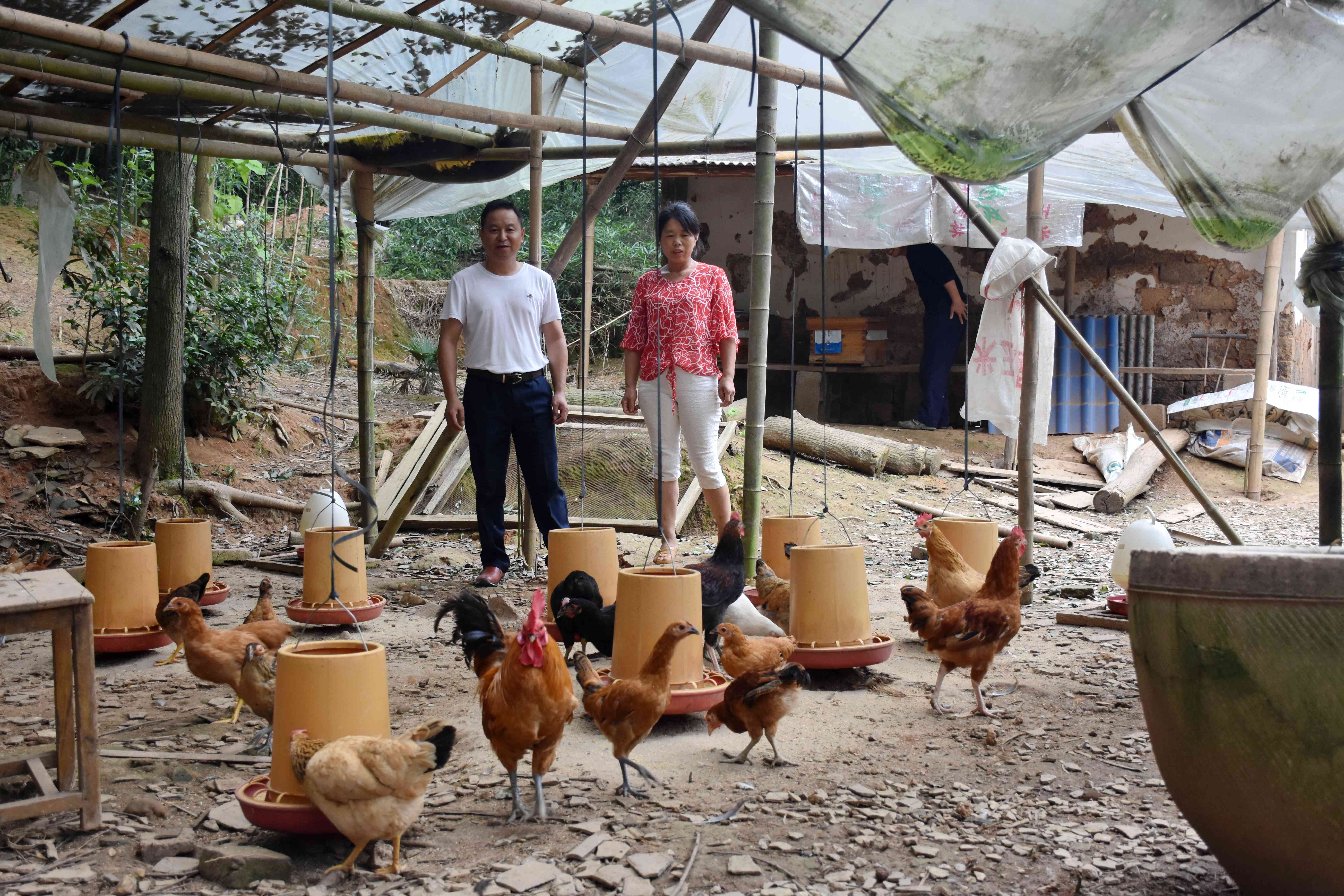 龚宇兵（左）在贫困户家察看土鸡喂养情况。