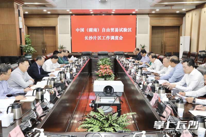 中国（湖南）自由贸易试验区长沙片区工作调度会召开。 刘书勤 摄