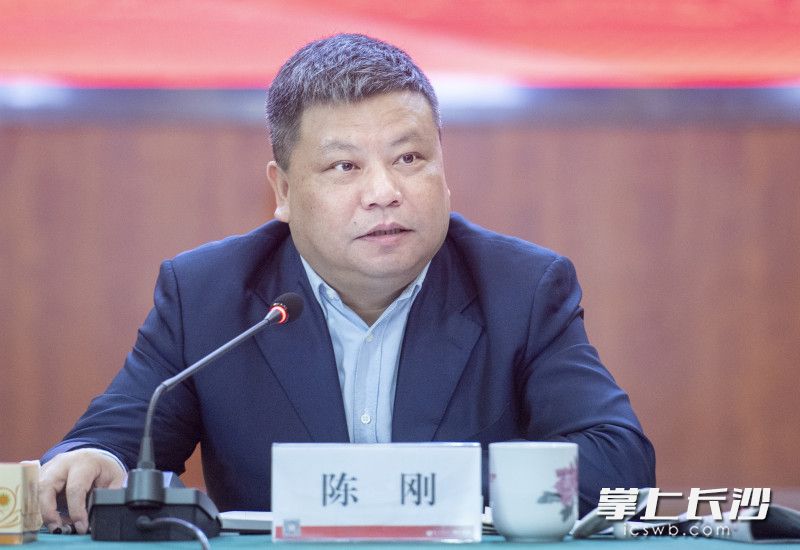 长沙市委常委、市委宣传部部长陈刚。