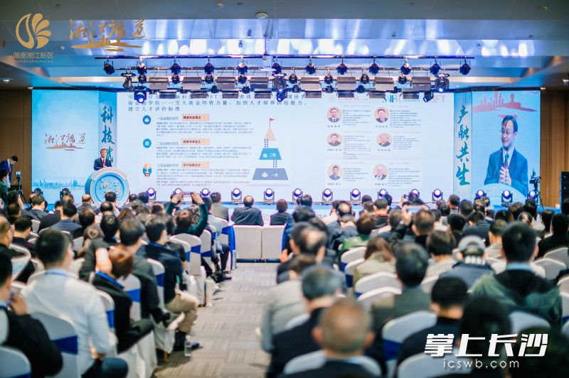 11月6日上午，2020湘江金融发展峰会正式开幕。 湖南湘江新区供图