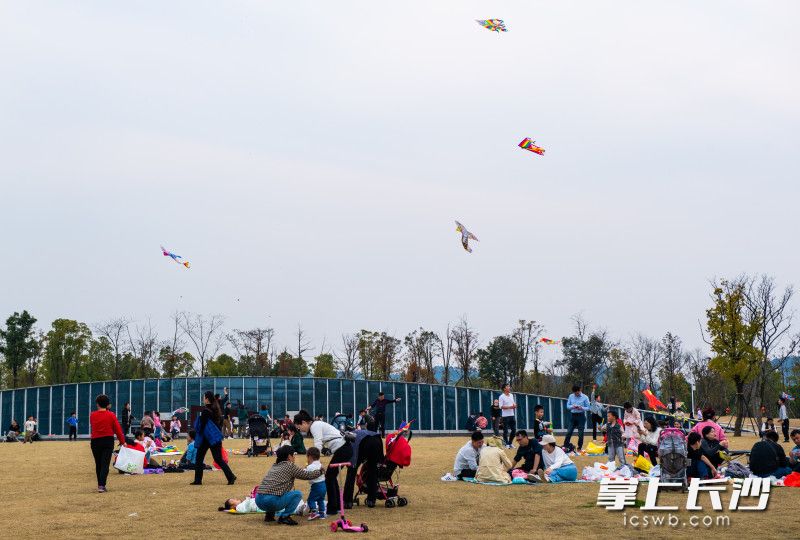 2月21日，银星湾公园市民们正在放风筝。