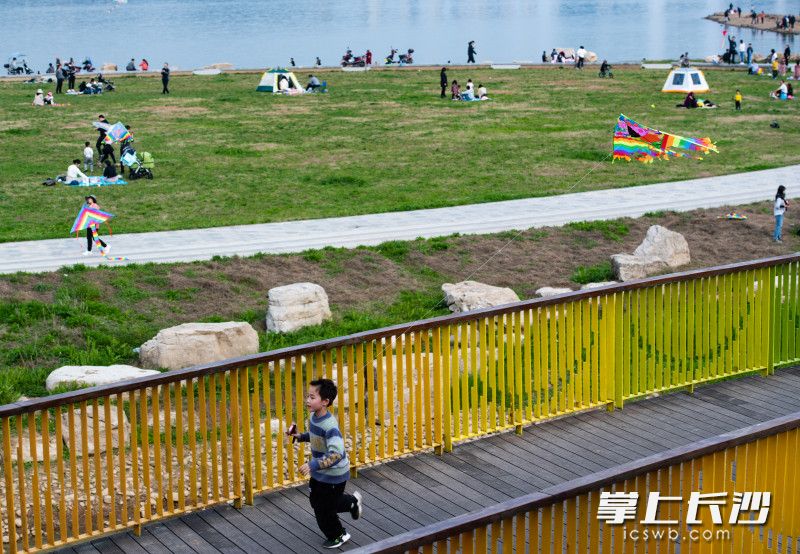 2月21日，，三汊矶大桥西湘江江滩上家长带着孩子们正在放风筝。
