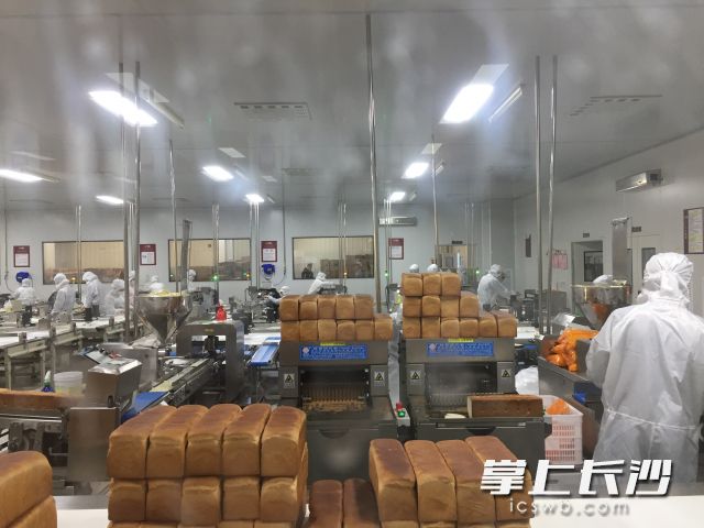 位于浏阳经开区的盐津铺子面包生产车间。长沙晚报全媒体记者 周斌 摄
