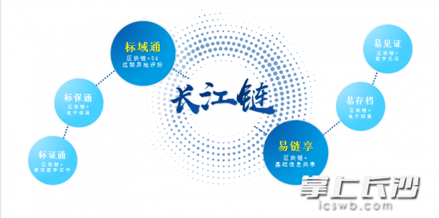 “长江链”公共资源交易区块链服务平台实现了“三通三易”。