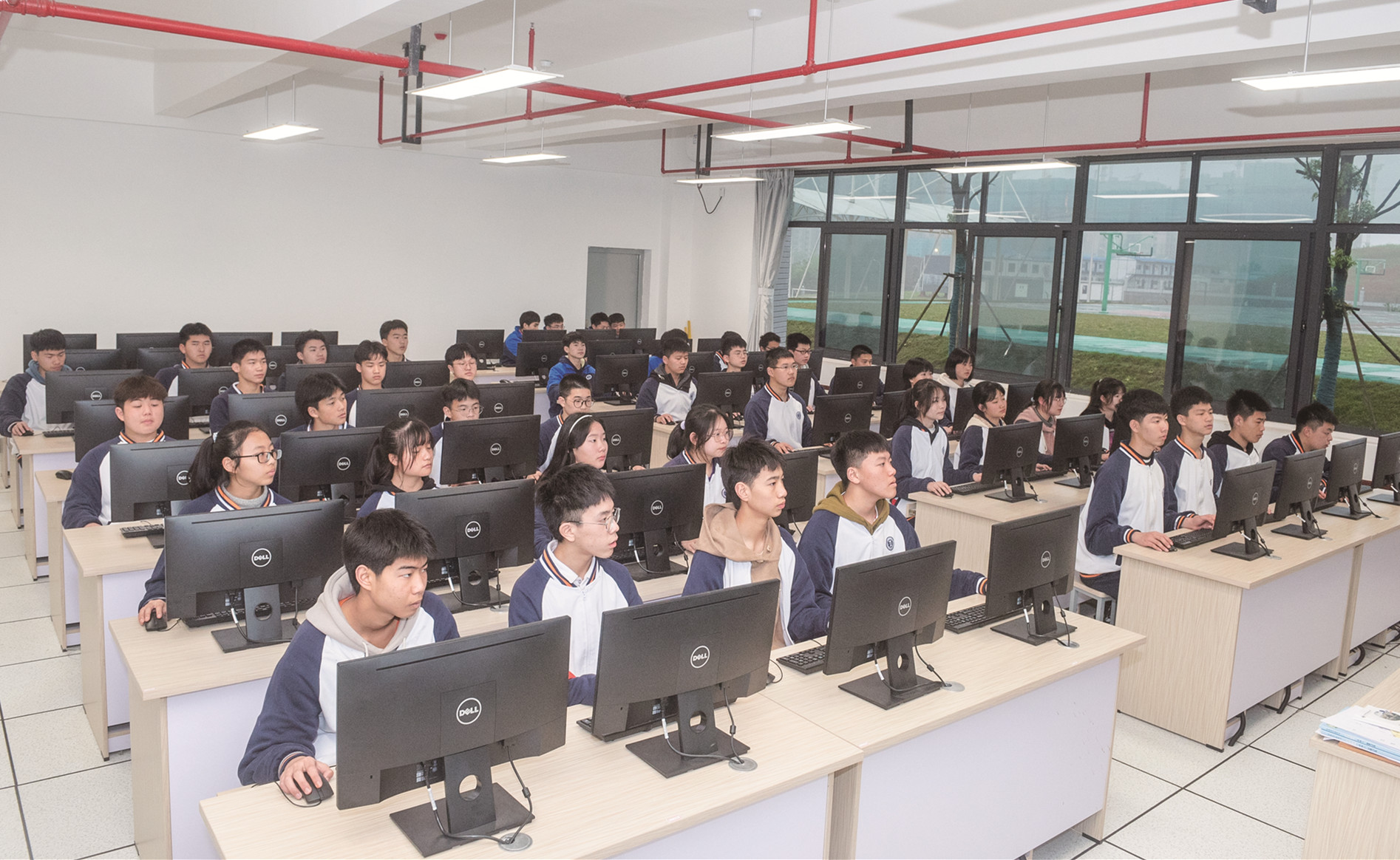 同学们在计算机室上课。