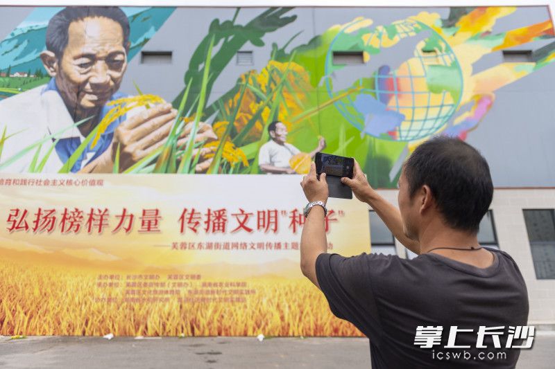 袁隆平的侄子袁景辉在拍摄彩绘。