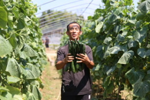 蔬菜小镇年产蔬菜近10万吨，带动3000户村民增收致富