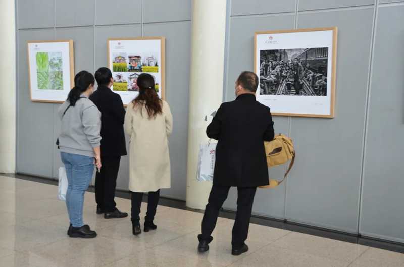 12月22日，第七届湖南艺术节摄影精品展在湖南省文化馆开幕。主办方供图