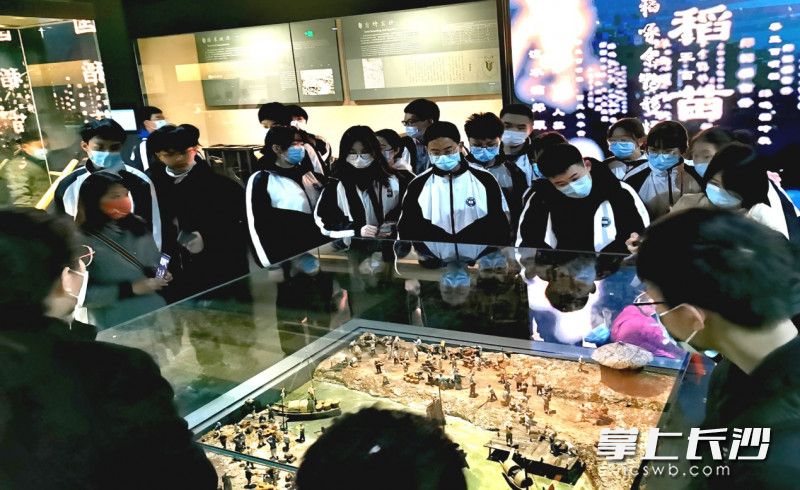 水稻博物馆的陈列让孩子们大开眼界。 均为长沙晚报通讯员 罗思思 供图
