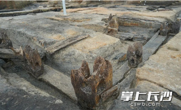 湖南澧县鸡叫城遗址半圆形的木柱及木柱上的两侧斜穿孔。湖南省文物考古研究所供图