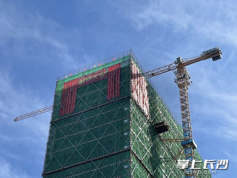 岳阳胥家桥综合物流园项目总建筑面积6.36万平方米，包括1栋12层公寓楼，1栋23层物流总部大楼等。