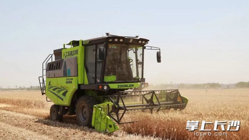 中联重科AI人工智能收割机在进行麦收作业。长沙晚报通讯员 摄
