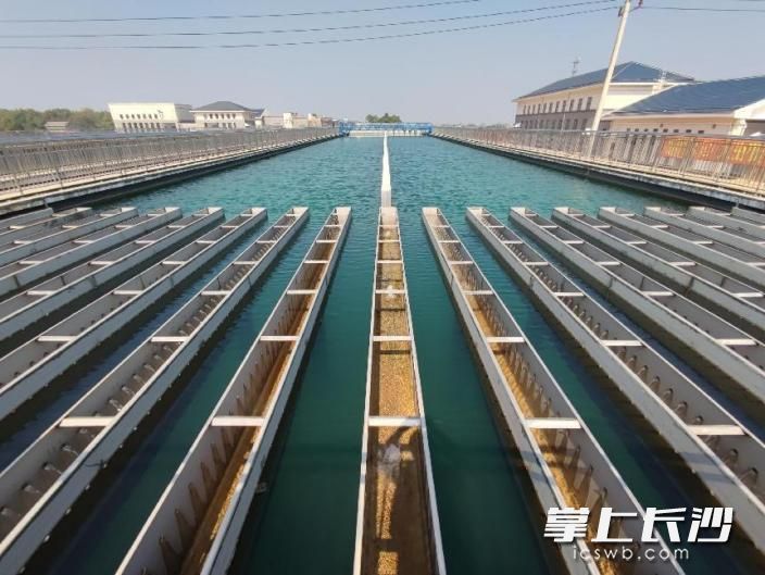目前，投资8.14亿元的湘江水厂一期项目主体已全面完工，管网工程完成75%。湘阴县委宣传部 供图
