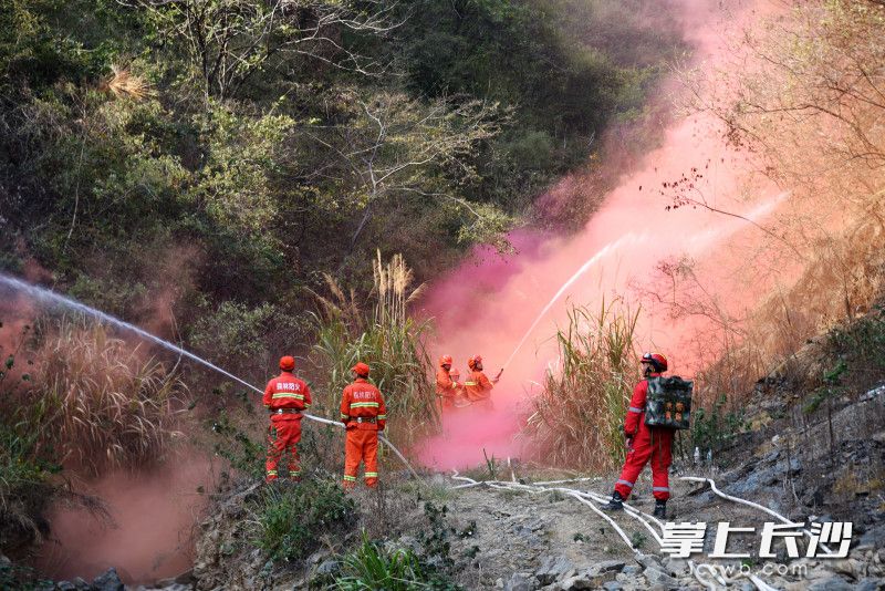 此次演练贴近实战，场景真实，锻炼各队伍的森林火灾扑救能力。