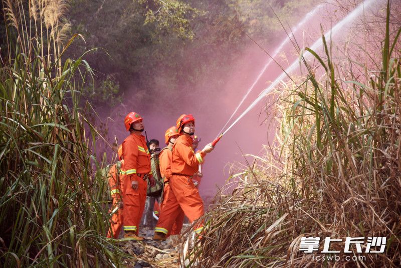 演练中，森林灭火队伍使用水枪水带扑救“山火”。