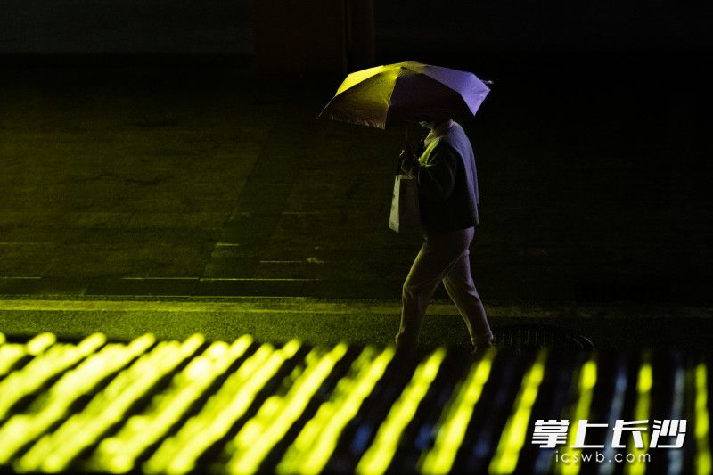 市民撑伞行走在雨中。