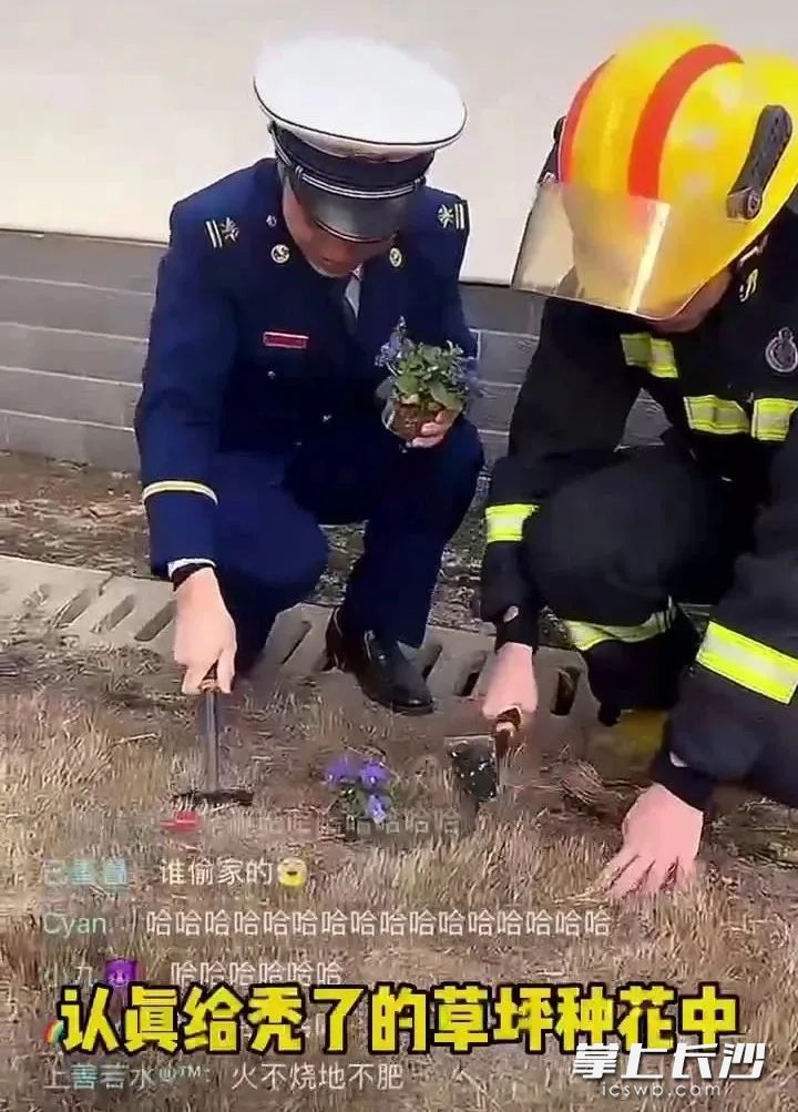 穿上灭火防护服，小伙和消防员一起为消防站补种花草。视频截图