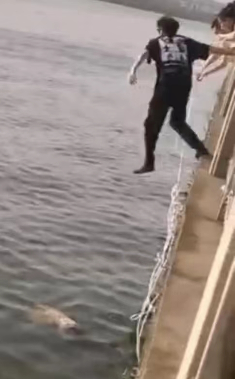 女子溺水漂浮在江面，26岁的游客贺益翻越护栏，准备跳水救人。 均为网友供图
