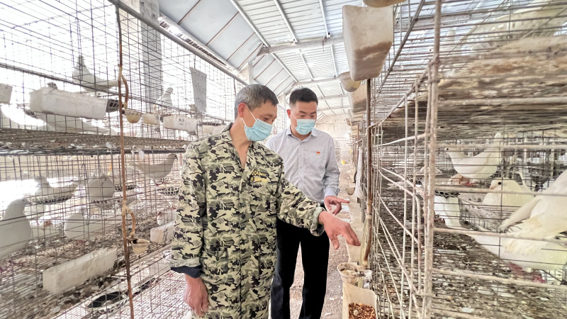 罗亚军（右）走访养鸽专业户聂厚波家，了解他在扩产方面的需求。长沙晚报全媒体记者　周辉霞　摄
