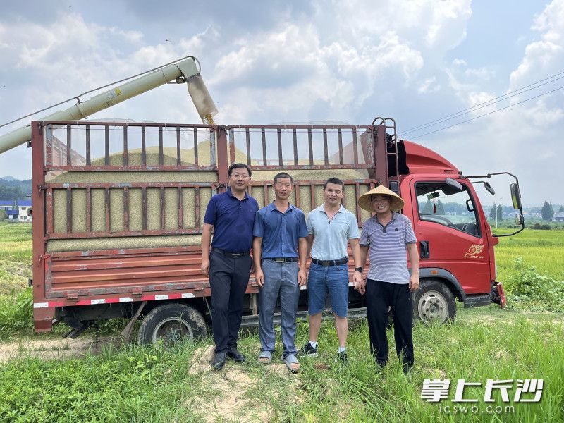 湖南农业大学副教授、长沙市科技特派员刘双清（左一）在长沙县湘丰村，与智康农业负责人戴智勇（左二），沟通了解水稻增产情况。受访者 供图