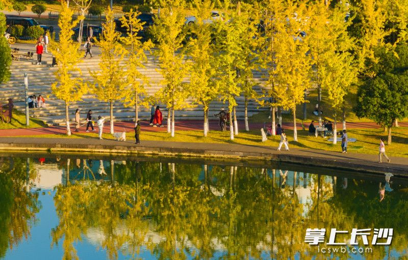 市民们徜徉在彩色后湖的美丽风景里。