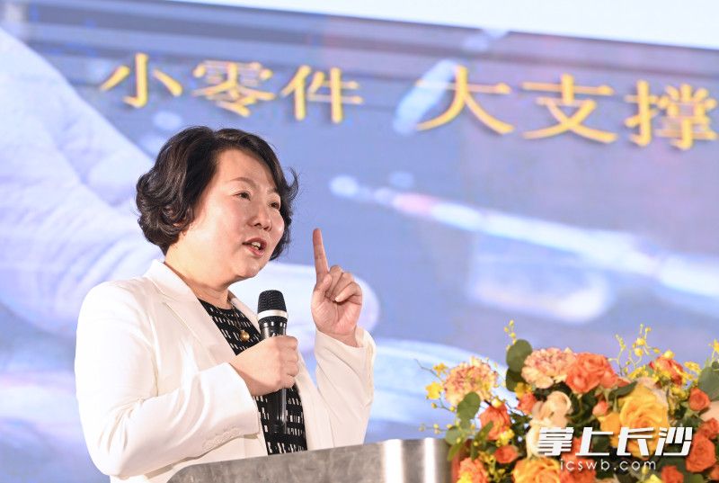 湖南申亿精密部件股份有限公司董事长刘昆湘讲述企业在雨花区发展壮大的故事。