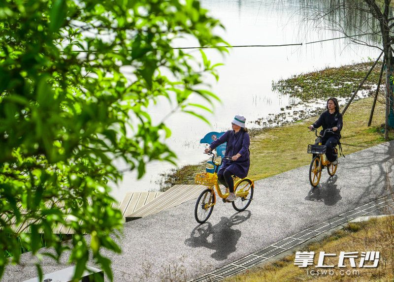 市民在后湖湖畔骑行。