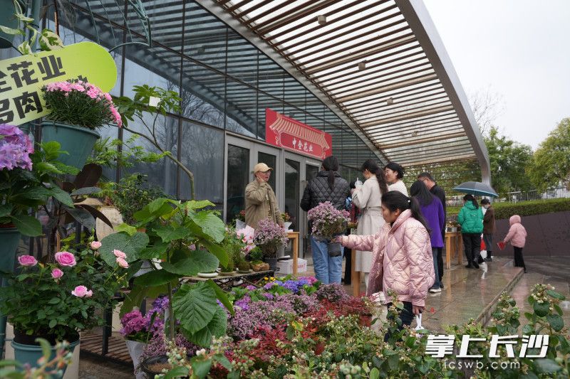 游客们在鲜花市集中选购。