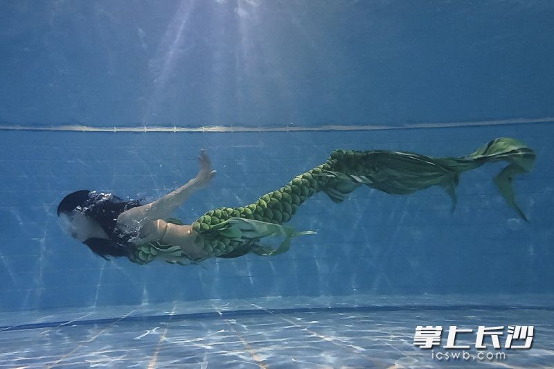 如今，随着水族馆及潜水运动的兴盛，“美人鱼”也开始成为热门的运动之一。图片均为 长沙晚报全媒体记者 黄启晴 摄
