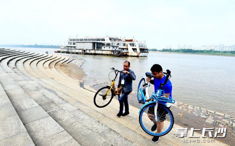 “周大侠”周海明（左一）带领志愿者巡河，将弃置在湘江河堤上的共享单车一一搬到规范停车点。 长沙晚报全媒体记者 李卓 摄