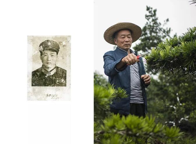 左：董华兴在部队的寸照。  右：6月1日，在自家的花卉苗木基地里，董华兴在修剪苗木。