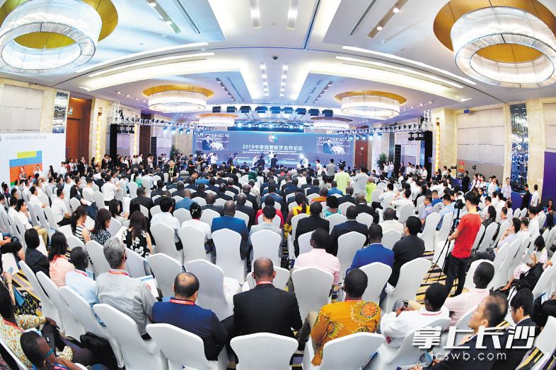6月28日，2019中非民营经济合作论坛在长沙举行。 长沙晚报全媒体记者 王志伟 摄