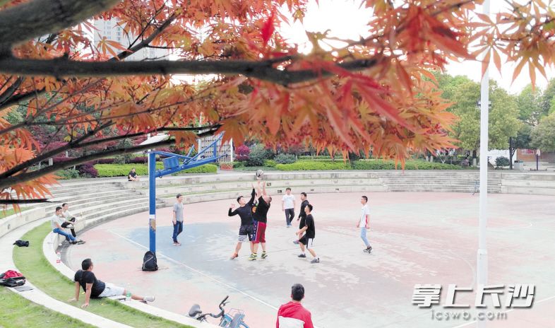 在九道湾社区公园，周边居民在打球，乐享周末悠闲时光。