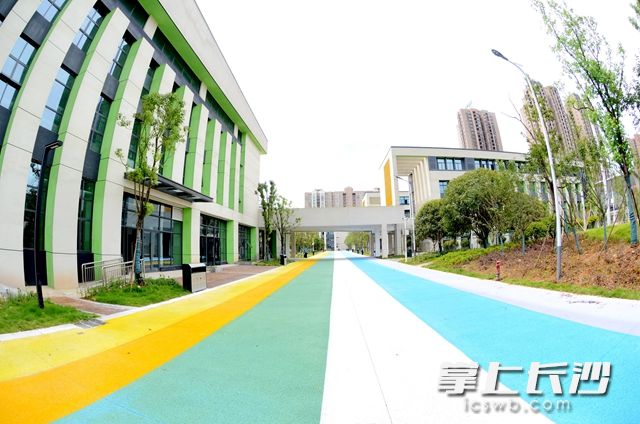 8月2日，湖南师范大学附属高新实验小学通过了联合验收，今年秋季投入使用。周秋燕 摄