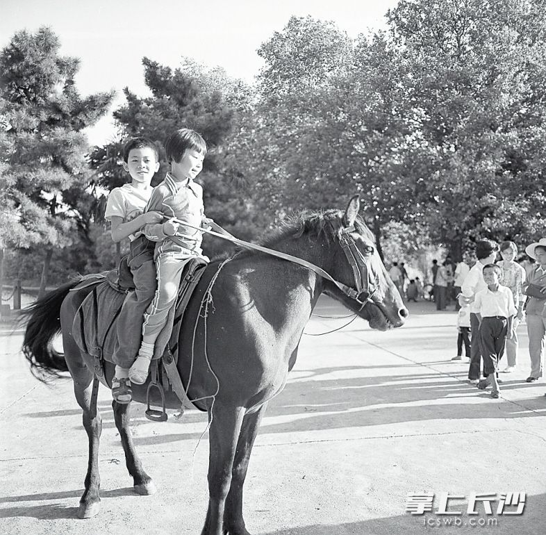 1984年9月2日，小“骑士”在烈士公园游乐场骑马。