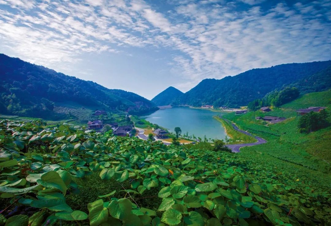 中国南方最美葡萄沟。图源：爱上湖南
