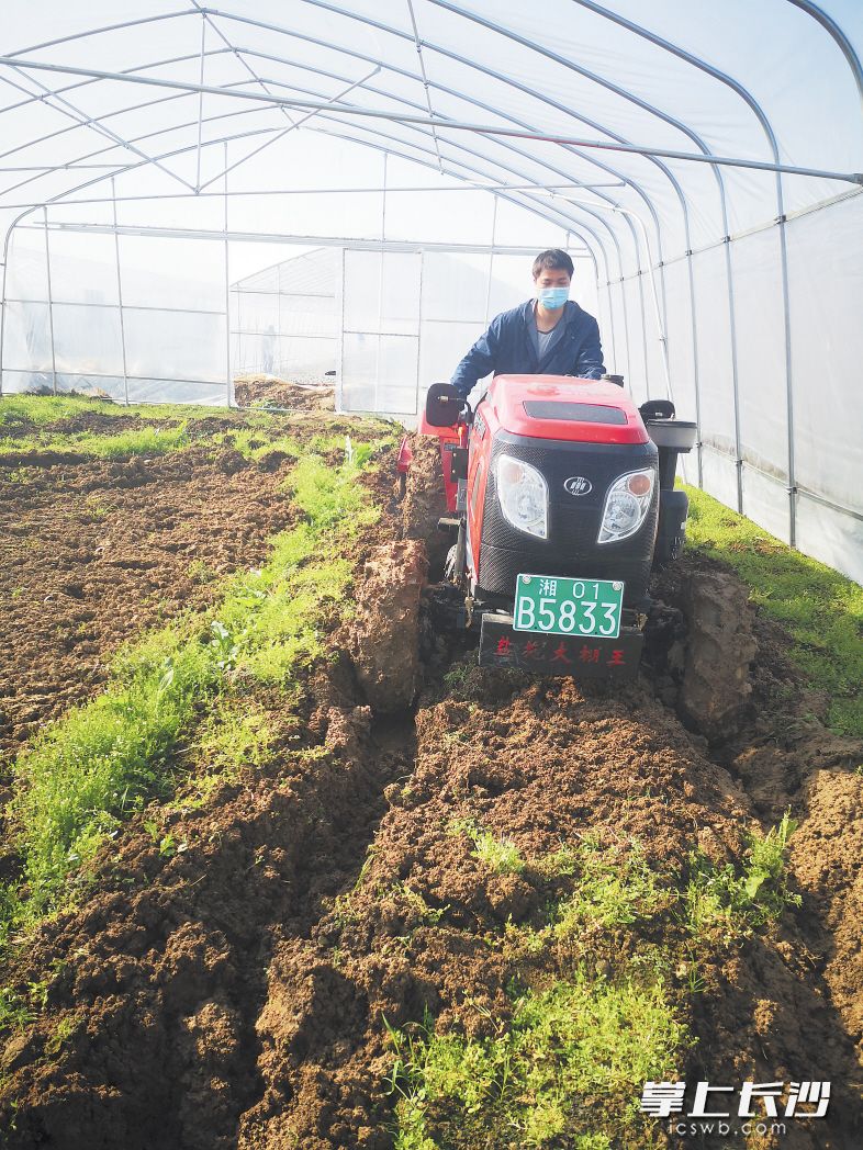 望城区靖港镇农业技术员在翻耕田地。朱华摄