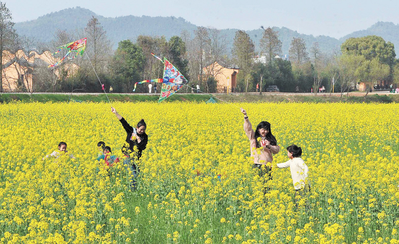 宁乡靳江源田园综合体验区，5000亩连片油菜花盛放，市民在花田间放飞风筝。