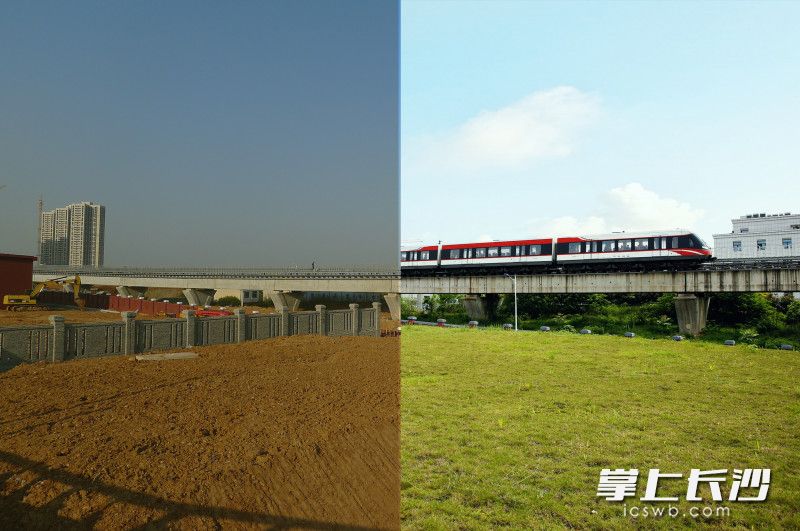地点：车辆段绿化景观。当年（左）：景观带完成场地平整；现在（右）：线上磁浮红，线下好风光