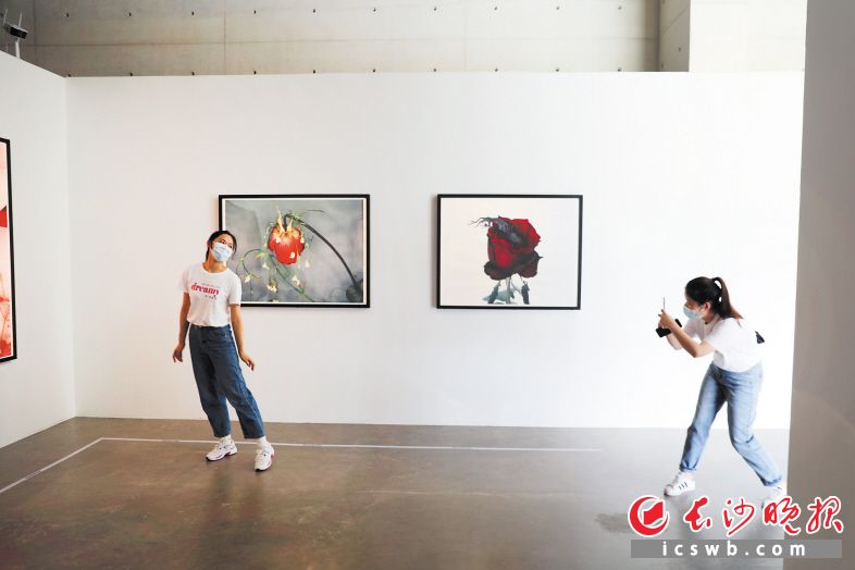 谢子龙影像艺术馆新展开展，吸引了许多文艺青年前来观摩学习。艺术馆供图