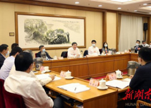 湖南代表团分组审议全国人大常委会工作报告 杜家毫许达哲等作讨论发言