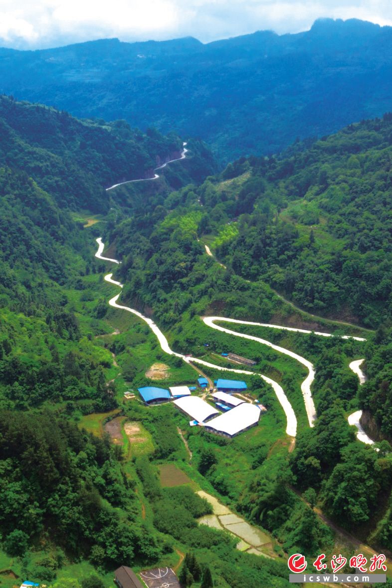 在湘西龙山洛塔陈庄村，这个零星散落在群山之中的村落，距离洛塔集镇有一个半小时车程，安静且闭塞。