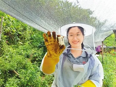 2019年5月24日，黄文秀到广西乐业县新化镇皈里村学习养蜂技术。陈名持摄