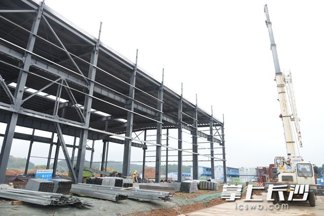 目前，中联智慧产业城土方机械园区的高强钢备料中心建筑单体正在进行屋面板安装。岑军 摄