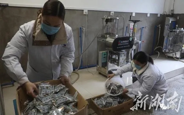 2月6日，东安县中医院药制人员在中药房将熬制好的中药塑封打包。严洁摄